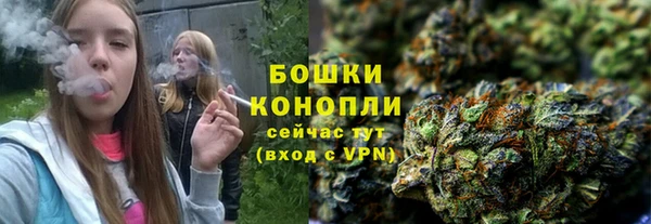 ALPHA PVP Нягань