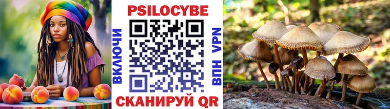 Галлюциногенные грибы мухоморы  купить   это Telegram  Железногорск 