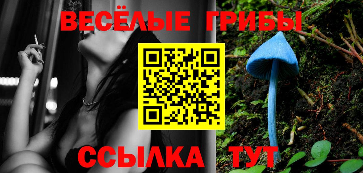 Галлюциногенные грибы Magic Shrooms  Вход с VPN  Железногорск 