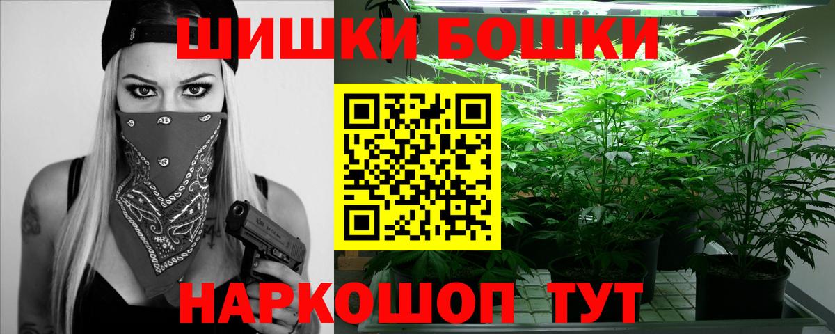 Конопля план  Вход с VPN  Канабис ГИДРОПОН  Железногорск 